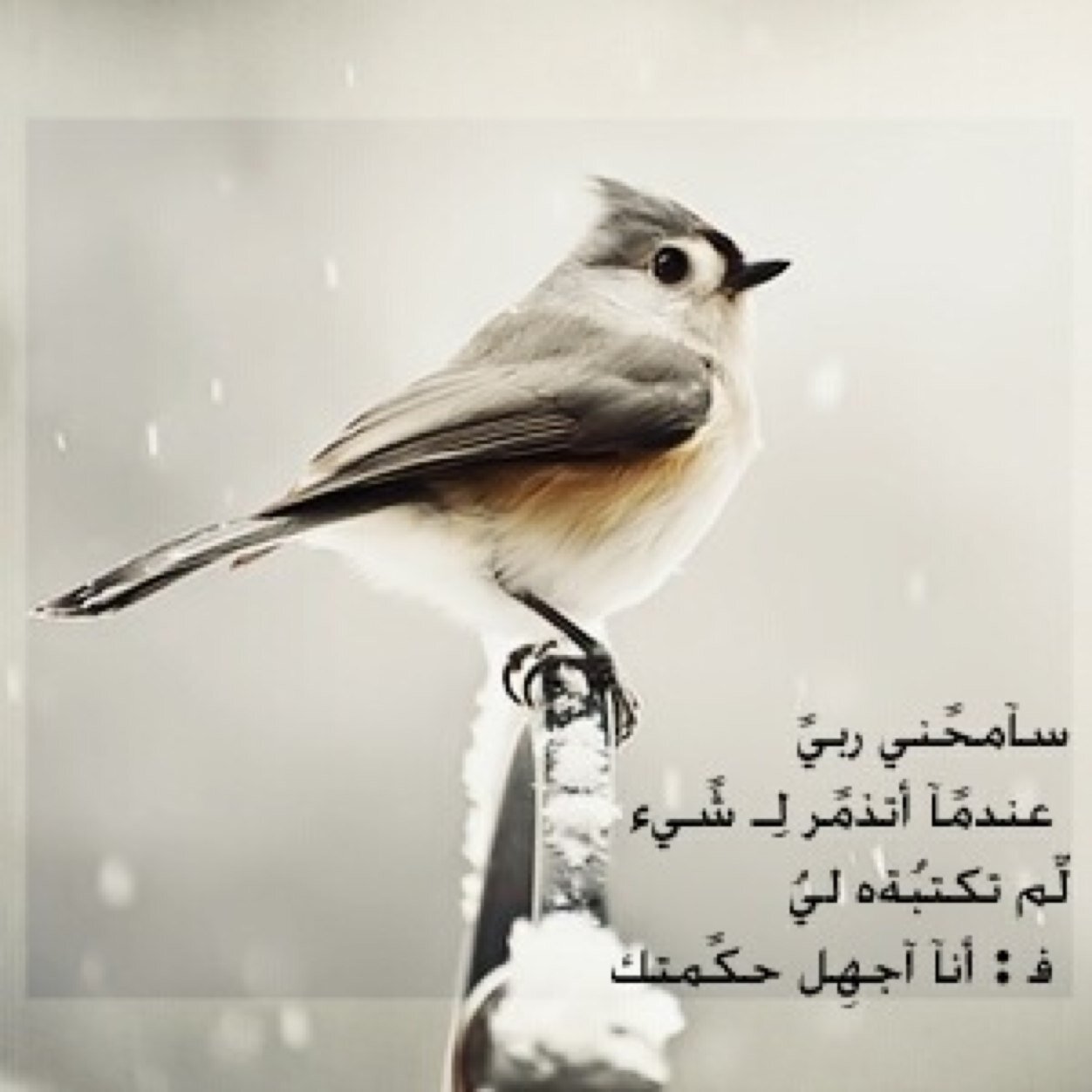 استغفرالله