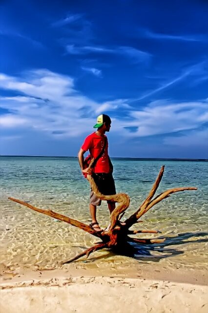 taufiqgems's profile picture. 