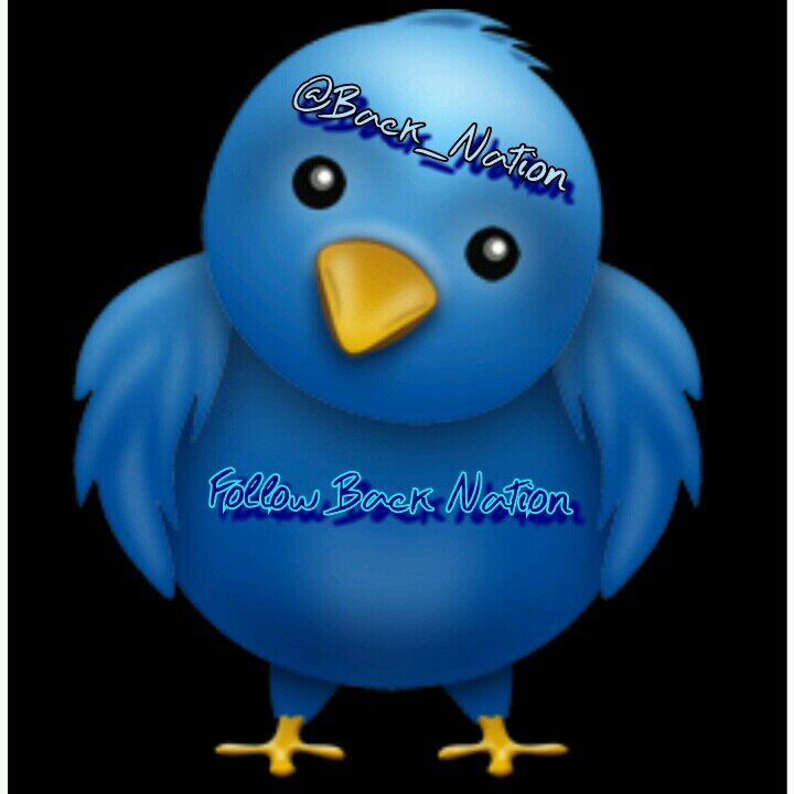 Follow Me, I Follow Back - Unfollow Me, Then I Will Do The Same