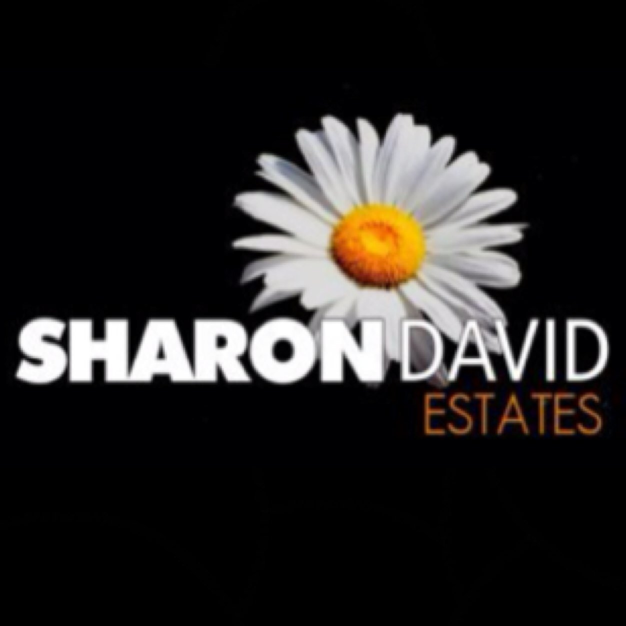 We are an independant estate agency located in Llanelli. We are 'The Agent That Keeps You Informed', 'Setting The Standard In Residential Sales And Lettings'.