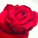 احمد المالك (@11Tts) Twitter