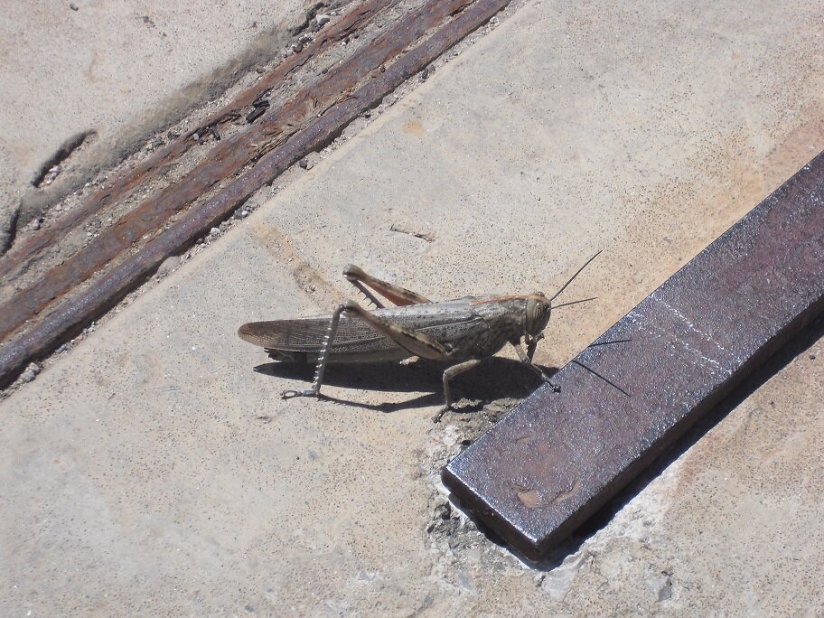 DanielaRohlfs's profile picture. 