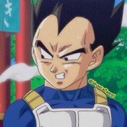 i am vegeta's prince of all saiyans. #Taken