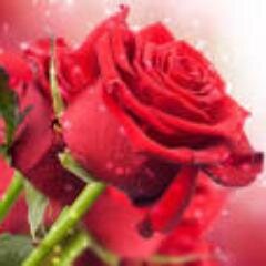 Aris__S__B's profile picture. Me gusta muho componer!!!!