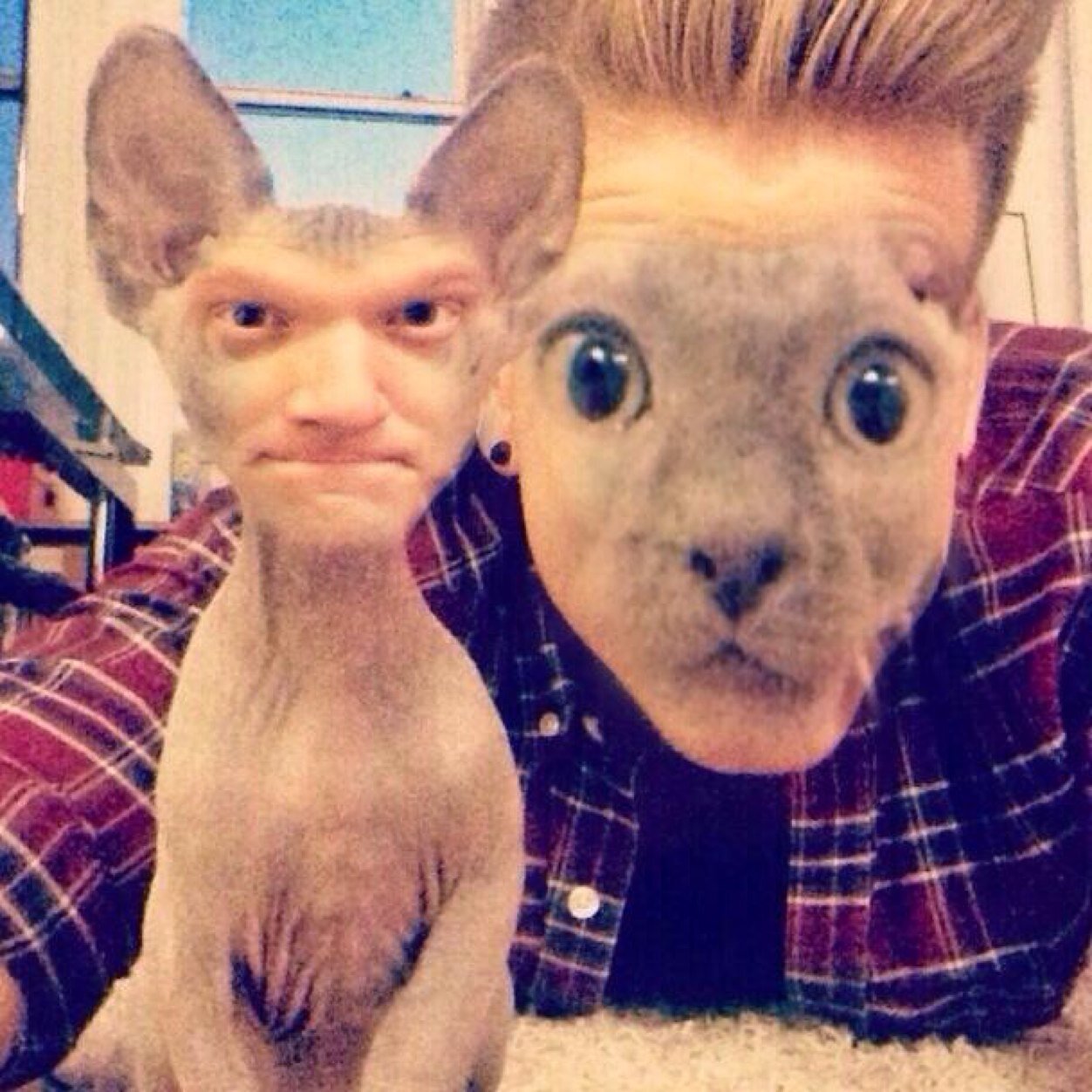 update account for pentatonix
WE LOVE THEM
if you think wyatt is ugly than you are ugly