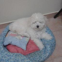 okniki4's profile picture. 