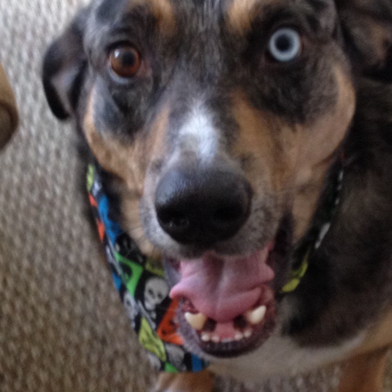 hbombdotcom336's profile picture. 