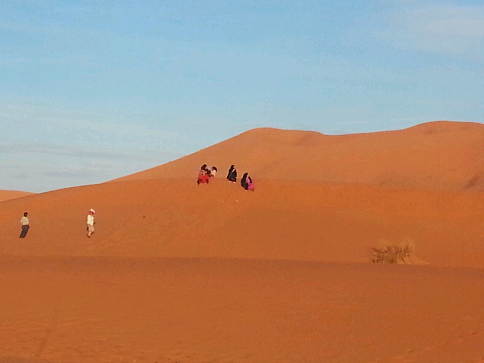 amzilo_info's profile picture. 