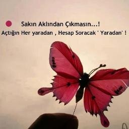 Father, Loving Husband, Educator, Teacher, Mathematician, and an asylum seeker...