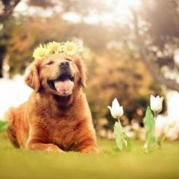 Vorontsov1983's profile picture. #оценка #банк #ипотека #налоги #кредит #квартира #teamfollowback #followme #followback #взаимный #фолловинг #компания #новости #web