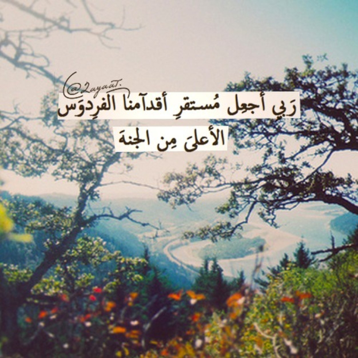 لا تجعلوُا يوُمكم يُطوى دوُن أثرٍ حسَن، صلوُا تصدقوُا أطعِموُا اقرأوا القرآن، اتلوُا أذكاركم سبّحوُا واستغفروُا فالأيام لا تعوُد