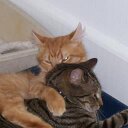 David McColgan - @davidmcc4 - Twitter