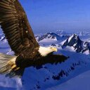 George Forte - @Georgekurro - Twitter