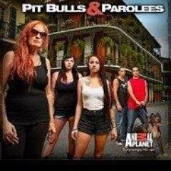 Pitbulls and Parolees twitter fan base account. New episode every Saturday at 9/10 pm on @AnimalPlanet.