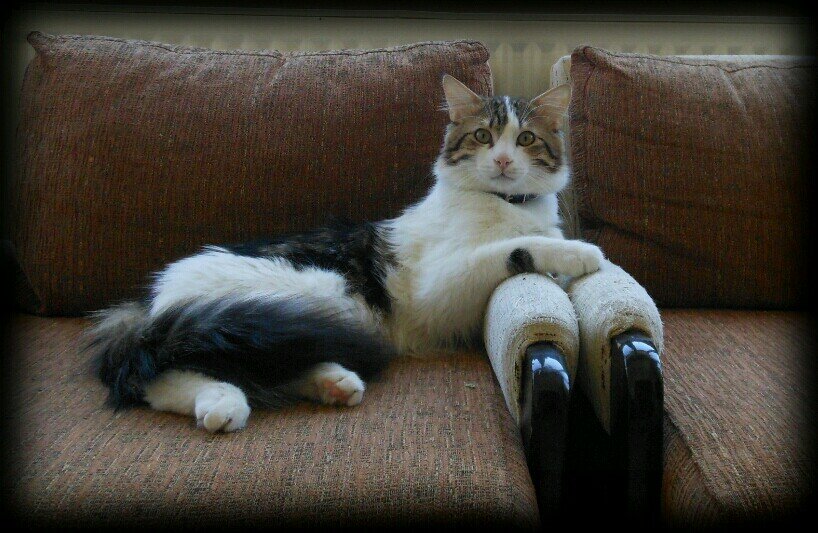 ErtrkNurten's profile picture. 