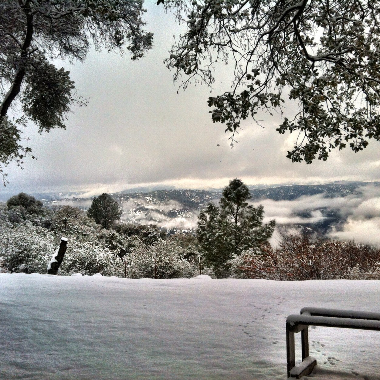 l_blesh's profile picture. 