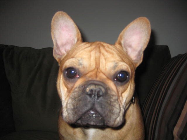 itsl1sa's profile picture. 