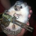 paige doss - @PaigeDoss - Twitter