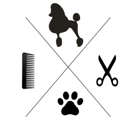 Official twitter for Spawlight Dog Salon & Spa located in San Diego!