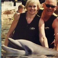 Andrea O'Driscoll (@andymodriscoll) 's Twitter Profile Photo