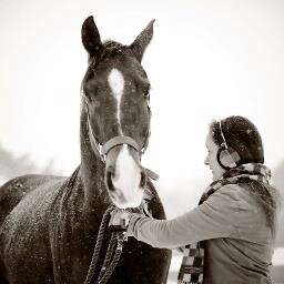 Equine Veterinary Practice Serving RI, MA and CT