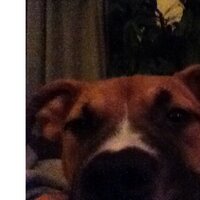 Ted E Bear (@jeffreemel) 's Twitter Profile