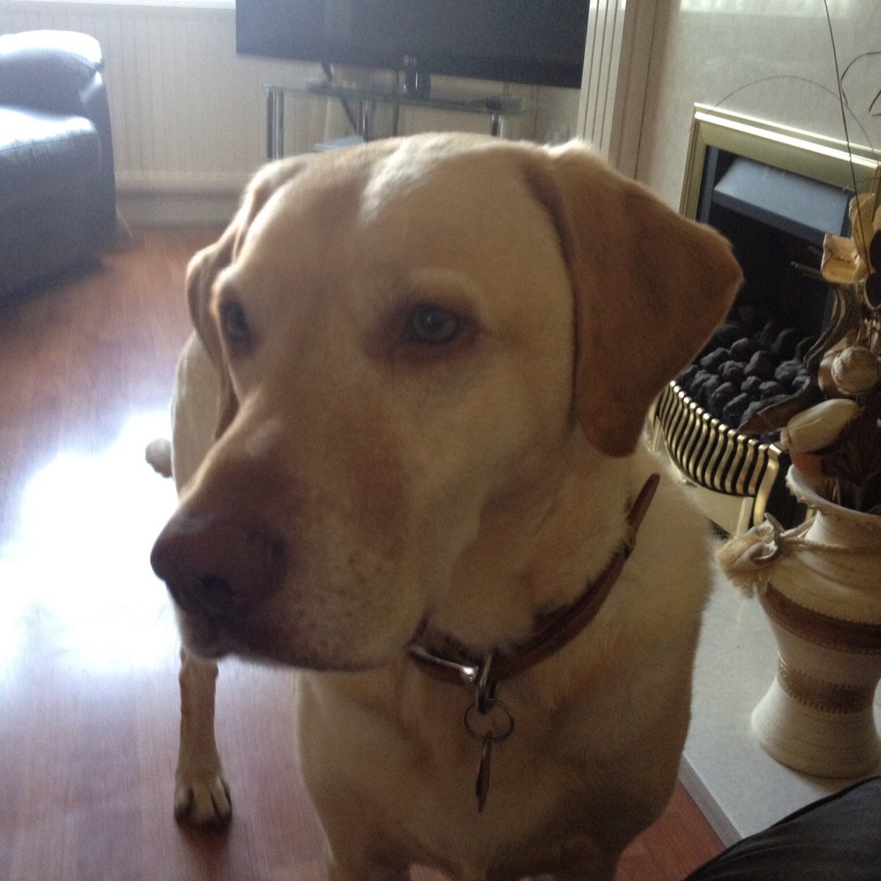 GaryHazelhurst's profile picture. 