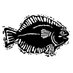 Monahan's Seafood (@monahansseafood) Twitter profile photo