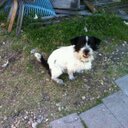 Martin Lazo - @martinraishel - Twitter