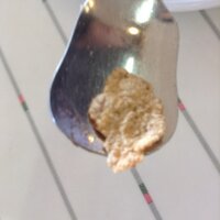 木下 充矢 (@m_kinosh) 's Twitter Profile