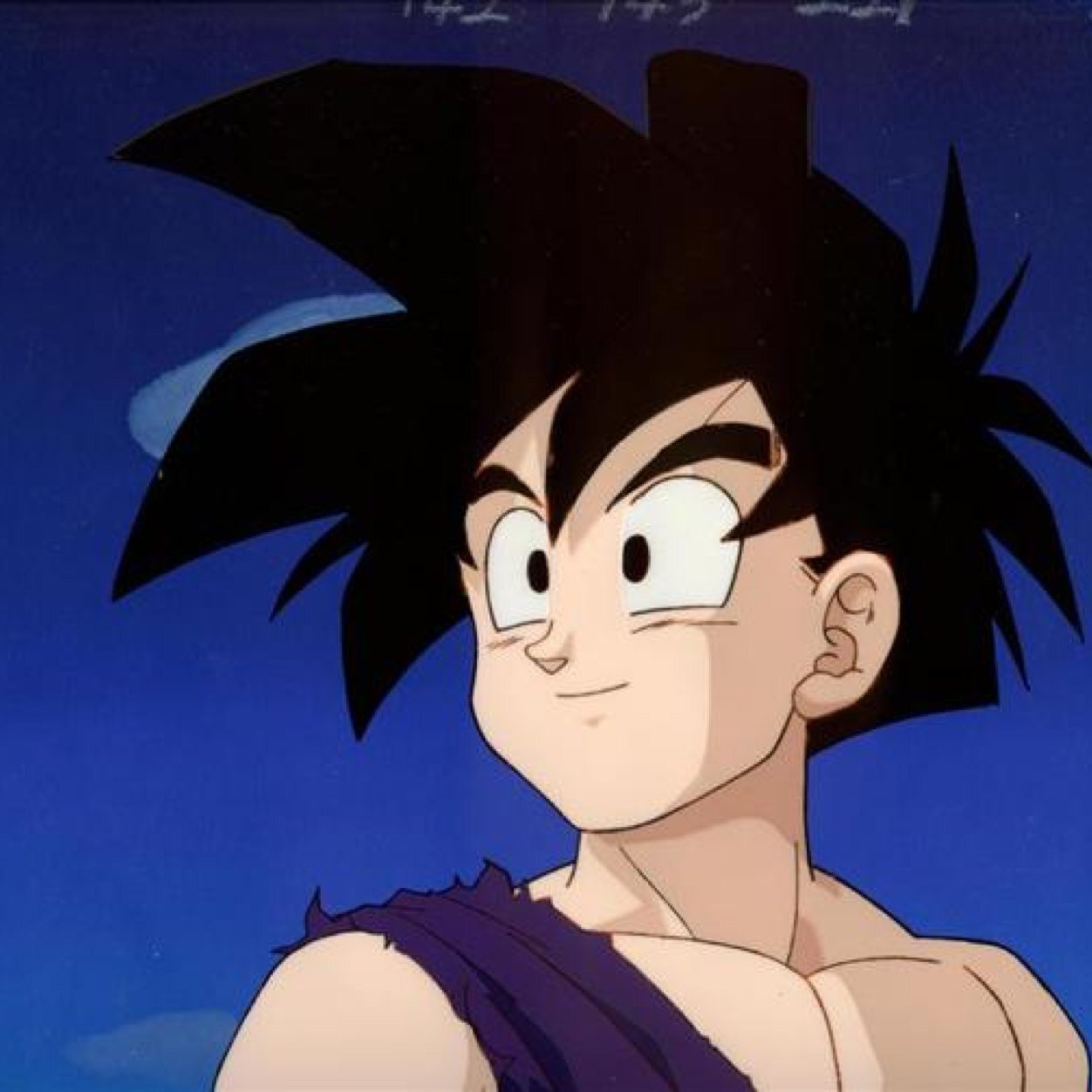 H-Hi. I am called Gohan, #15. My life has Changed so much and I have yet to find its meaning. #Alt. #Gay. #Taken by @ValdanPyroson.