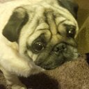 Glen Wagner - @wagner_glen - Twitter