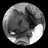 louhopper12's profile image