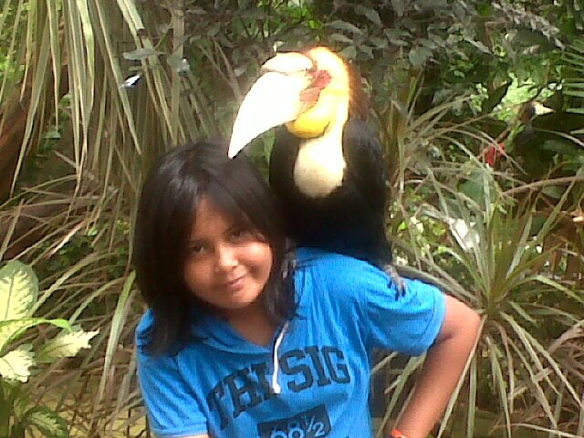 Always Love You #D