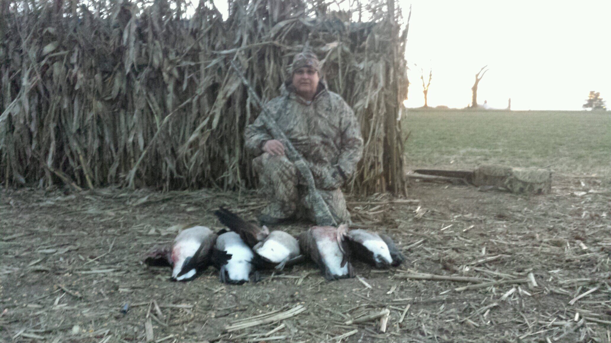 deneckman's profile picture. 