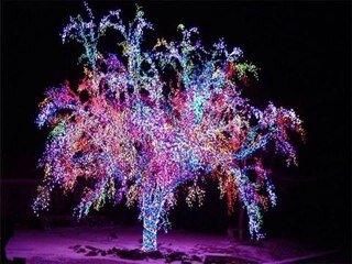 Layla22Haddad's profile picture. jazz fanatic & woman of the world
http://t.co/SoIDDwSJSs