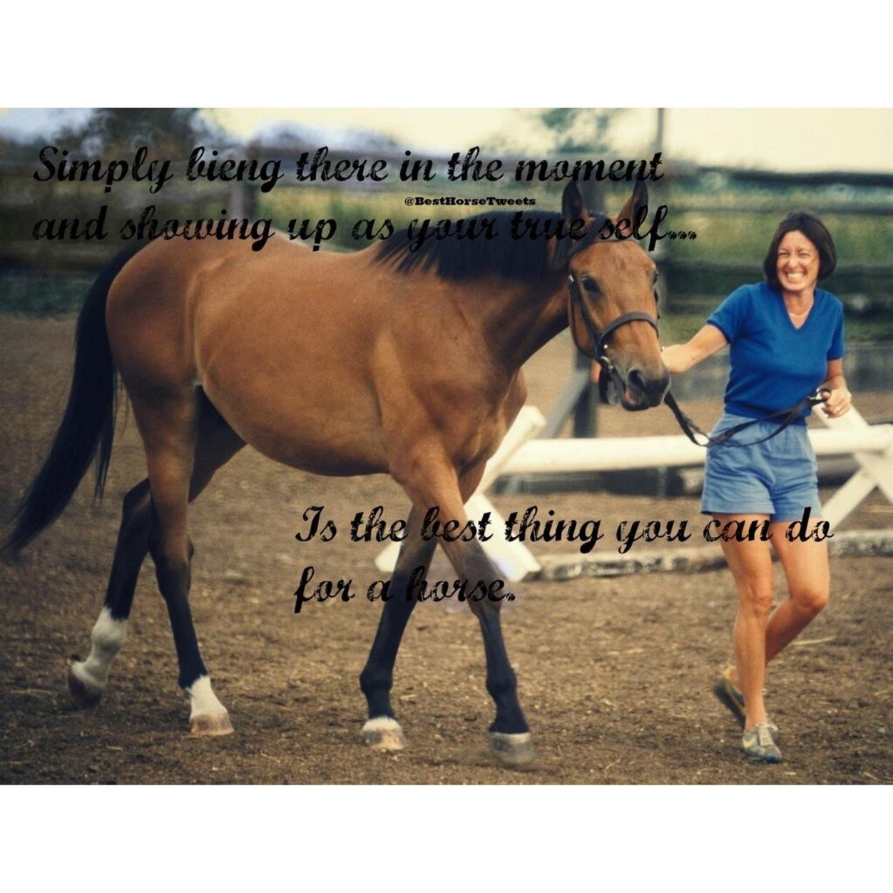 Horses are our best friends so we need to love them as much as they love us.
