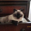 Margo Clark - @mvclark1 - Twitter