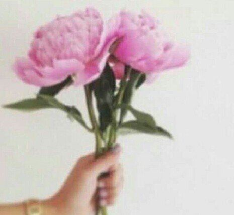 ‏‏‏‏‏صدقه لجميع أُمهاتِنا وأبائِنا ،الأحياء منهم واﻻموات ، الحمدلله على كل حال.