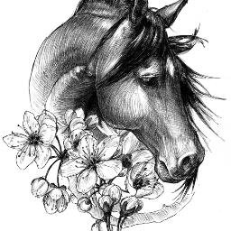 MartaOrigami's profile picture. Dark Horse Origami - origami jewellery & workshops