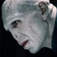Tom Marvolo Riddle. El mago más poderoso que el mundo ha conocido. Maté a mi propio padre, imagina lo que te haré a ti.