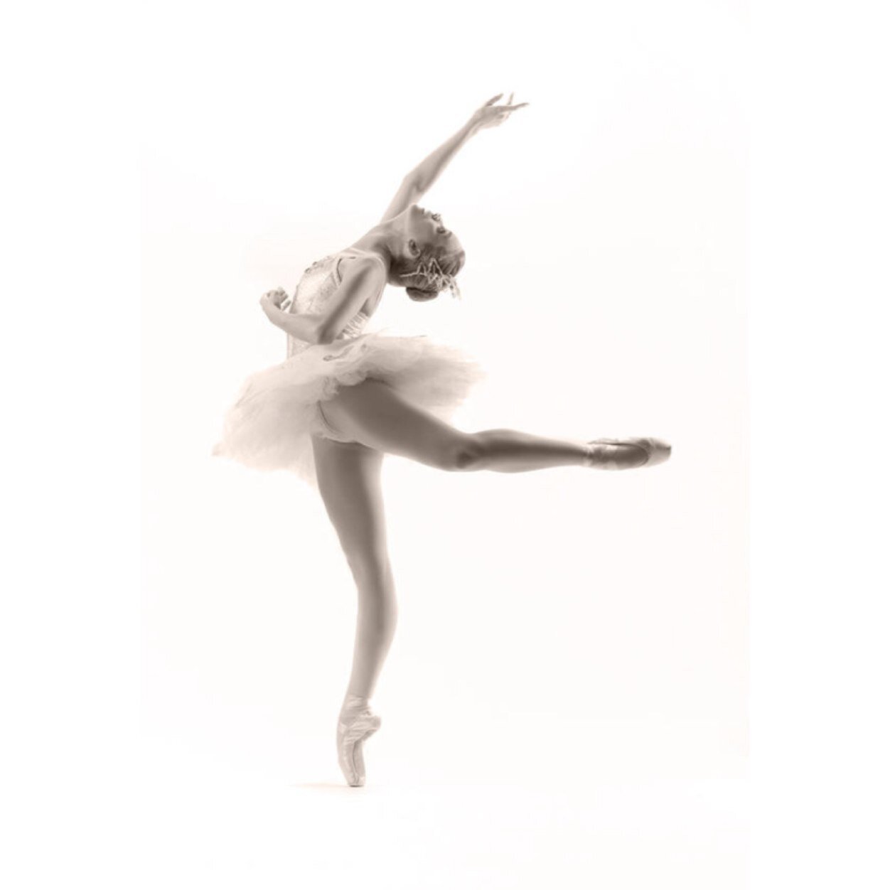 bun__head's profile picture. 