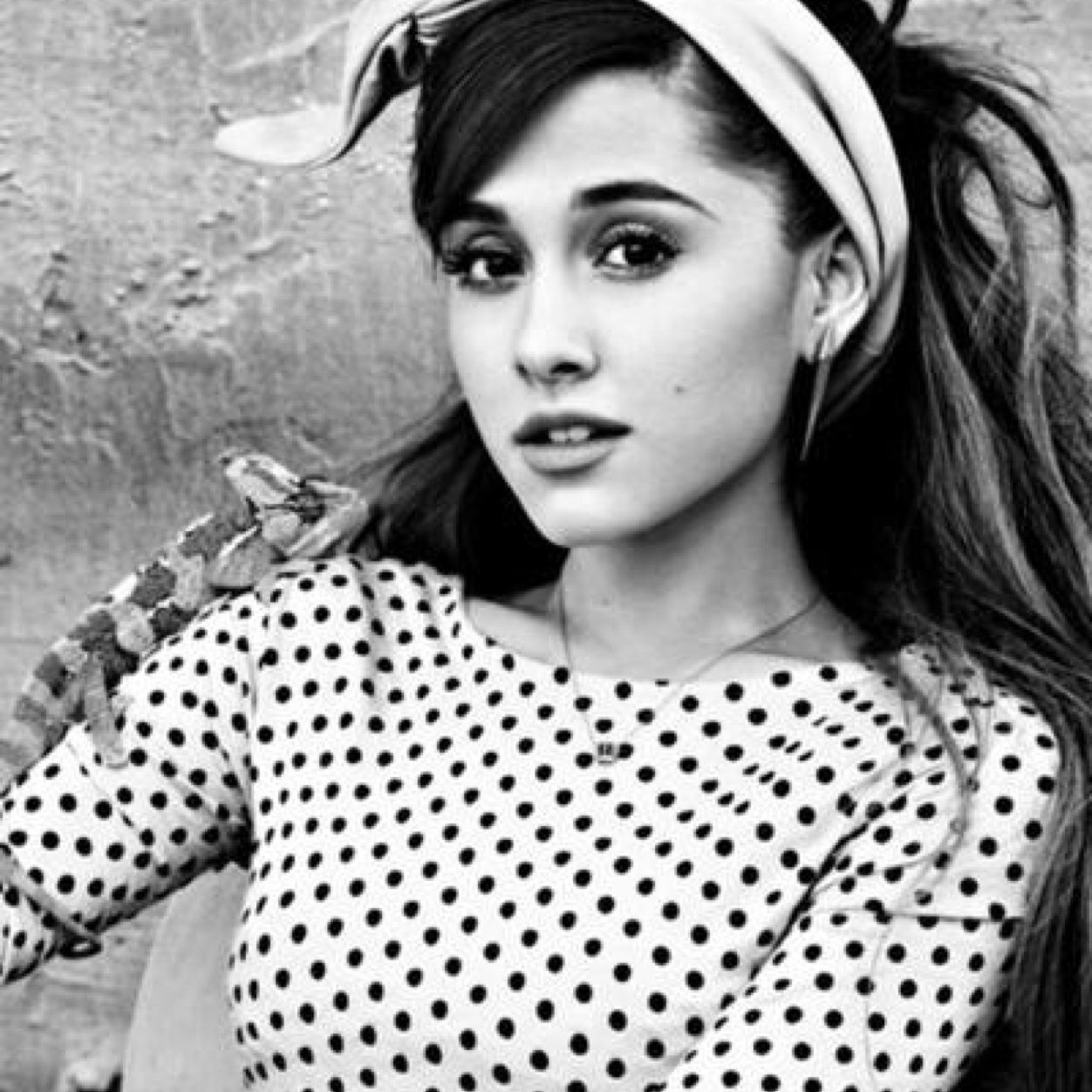∞•Arianator•∞
♡June 26, 1993 a star was born in the community♡
