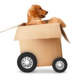 Legendary Movers...
We deliver, move, & hook you up