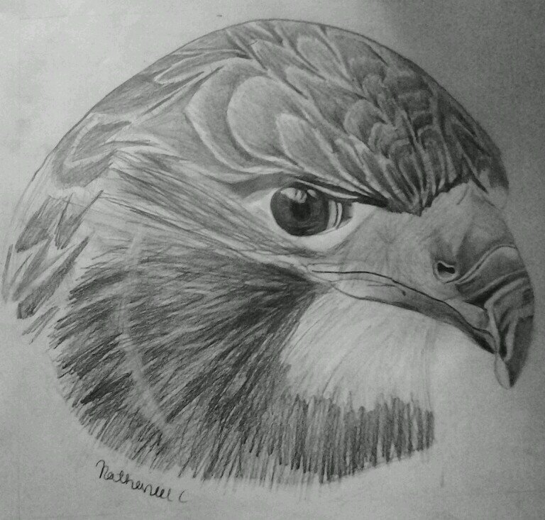 big_n8_tha_gr8's profile picture. Why are you here