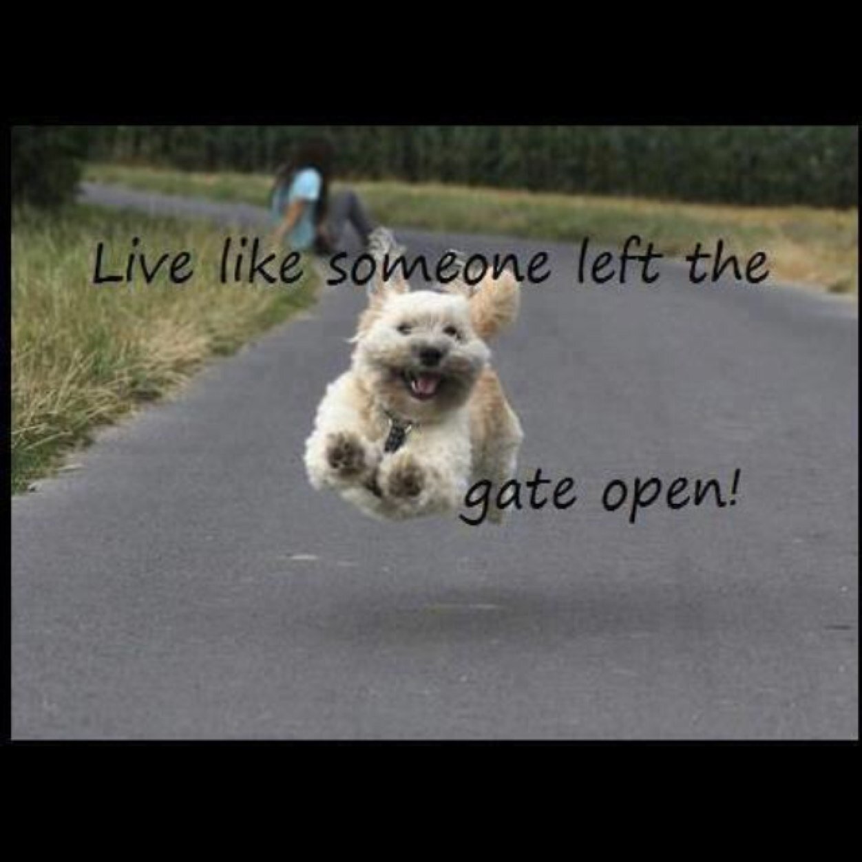 lizzie662's profile picture. 