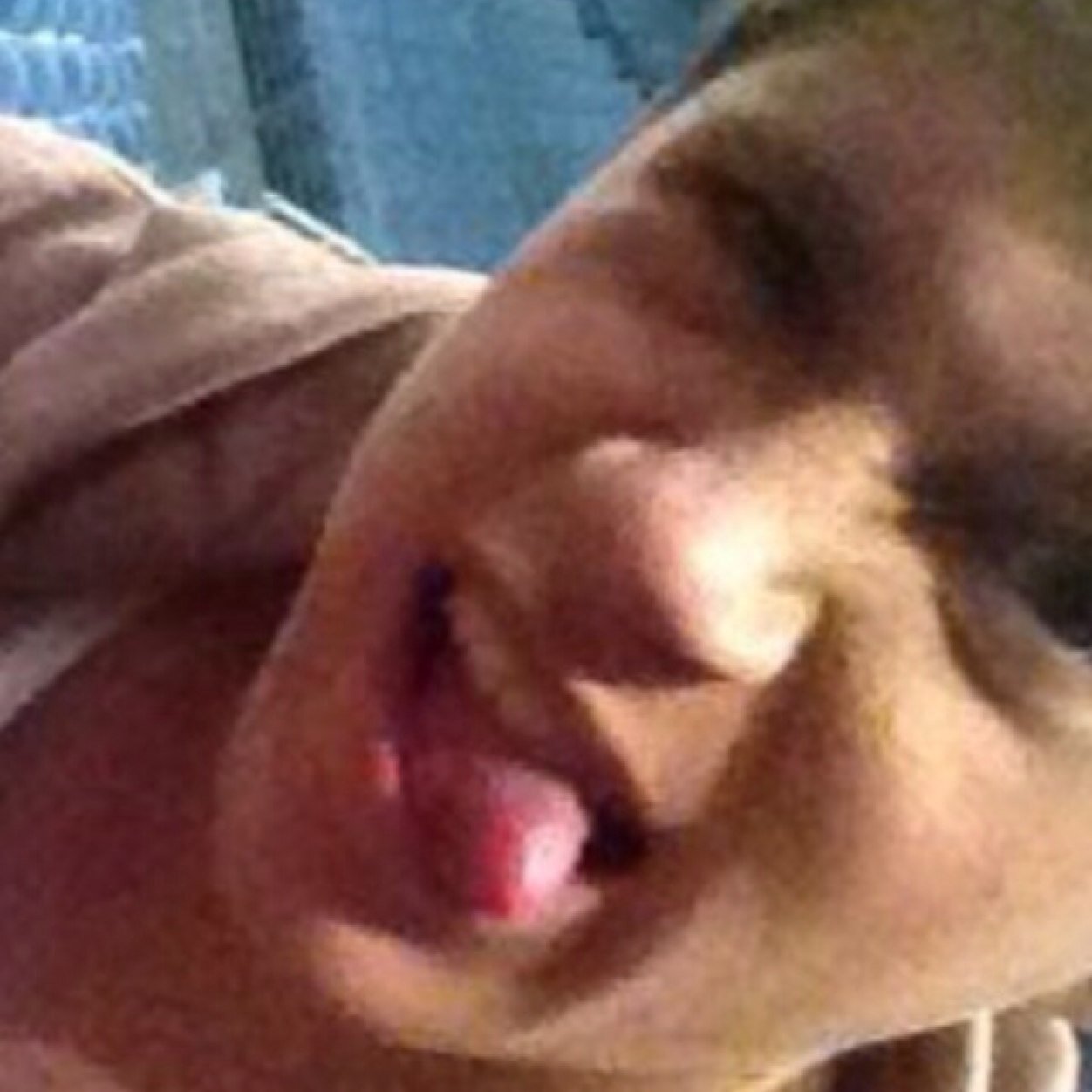 Follow @ihhorann