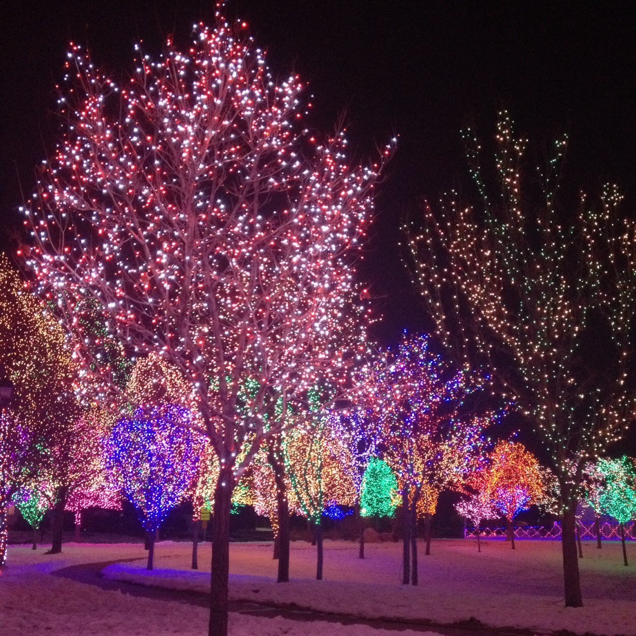 cantstandyau's profile picture. 