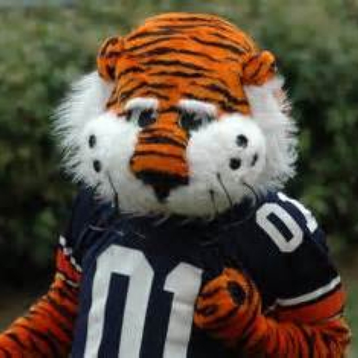 Auburn Football - Dodger Baseball