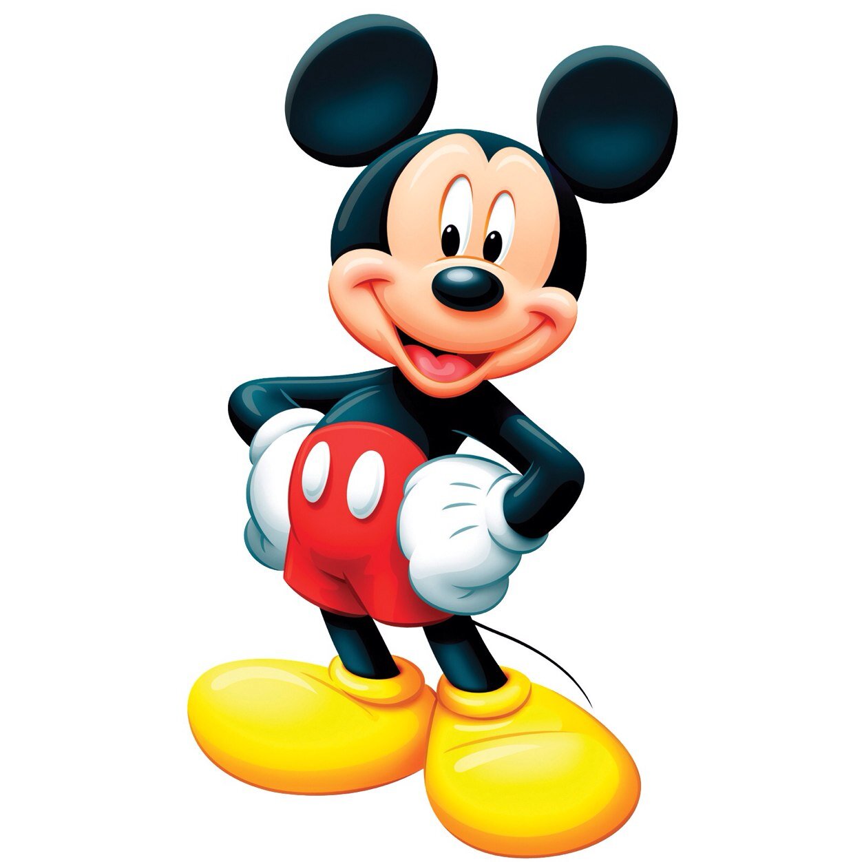 teacher, parent, Cowboy fan, Bryan Adams fan, lover all things Disney